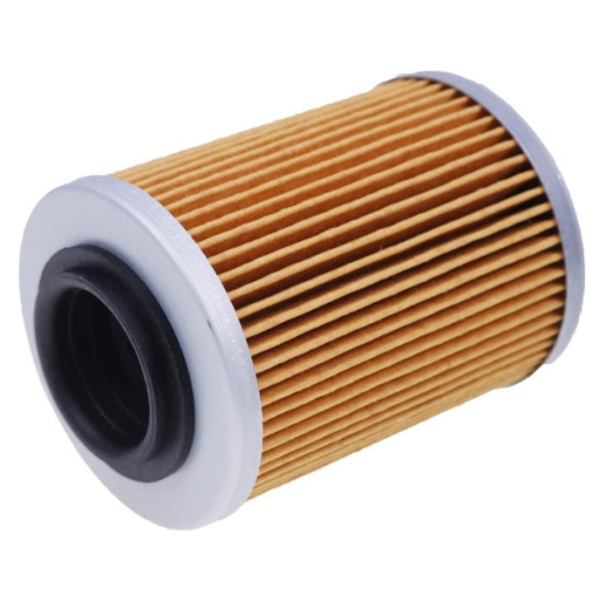 Oil filter Odes Pathcross 850 1000 21040111601