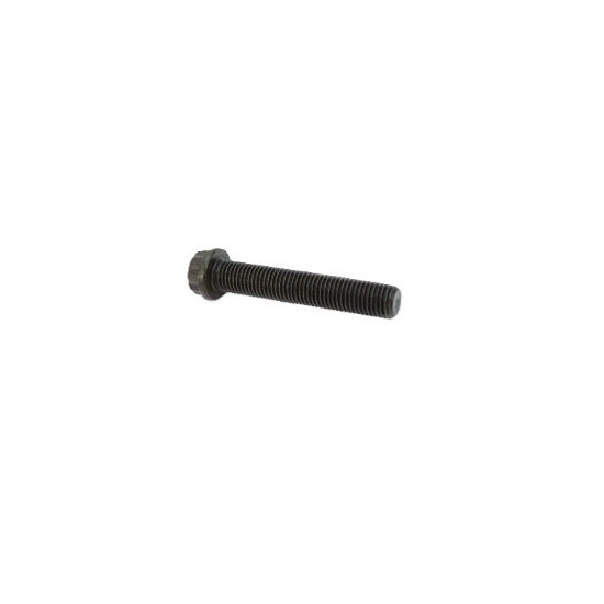 Crankshaft bolts Odes 21040107821