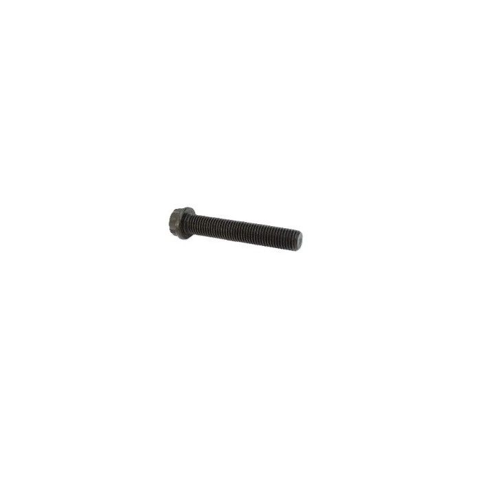 Crankshaft bolts Odes 21040107821