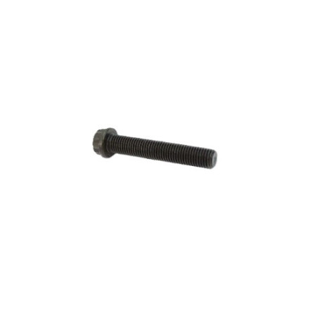 Crankshaft bolts Odes 21040107821