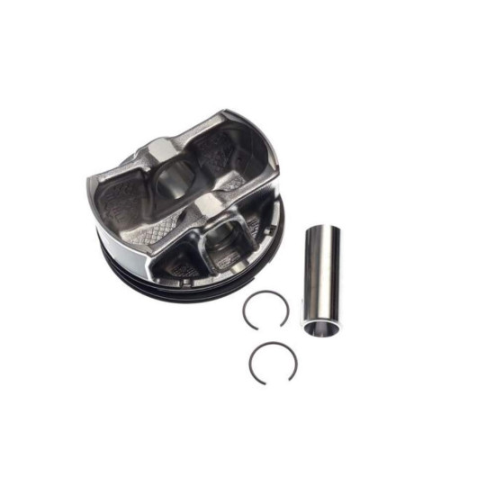 Piston Segway Snarler AT6 F01B00100001 mark II