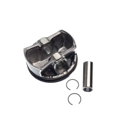 Piston Segway Snarler AT6 F01B00100001 mark II