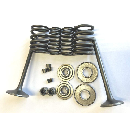 Valve set Linhai 260 300 22601 22602 22603 22604 22605 22607