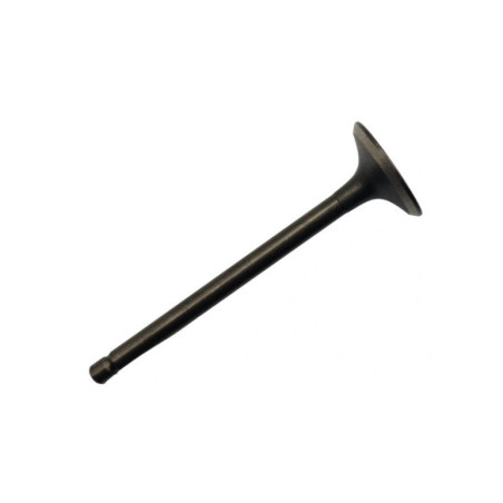 Exhaust valve Linhai 260 300 22602