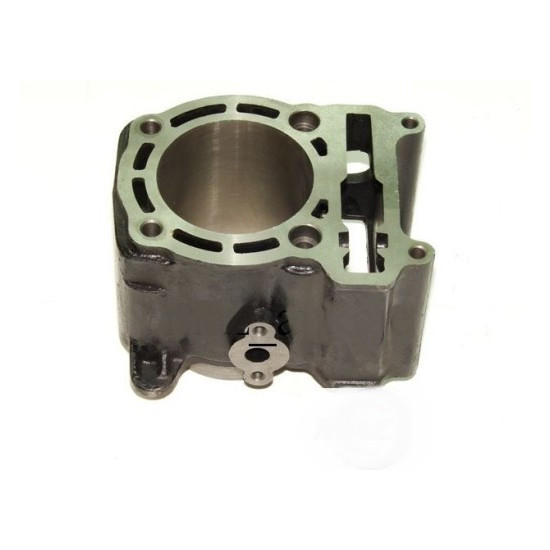 Cylinder body Linhai 300 22420A