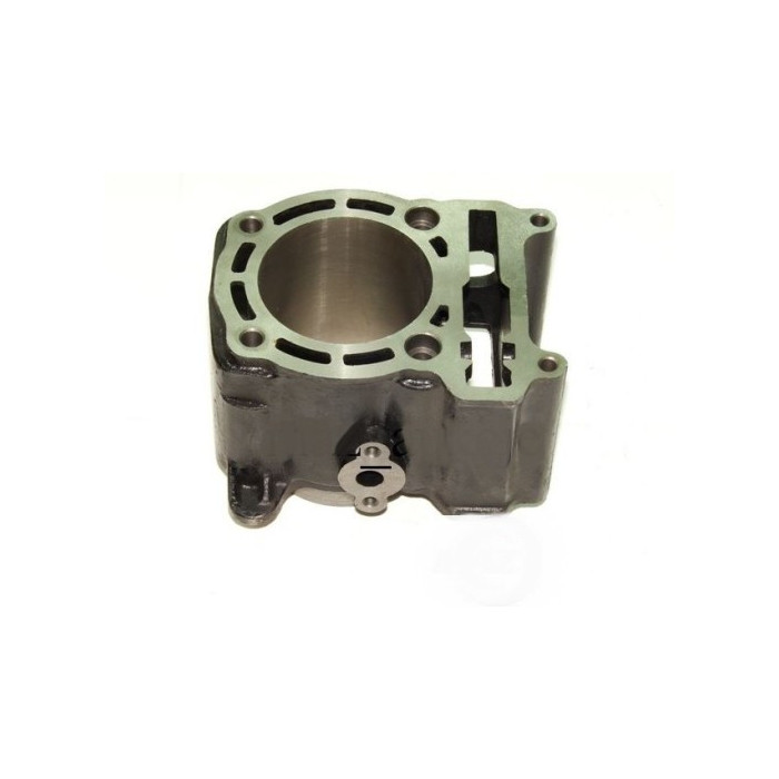Cylinder body Linhai 300 22420A