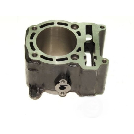 Cylinder body Linhai 300 22420A