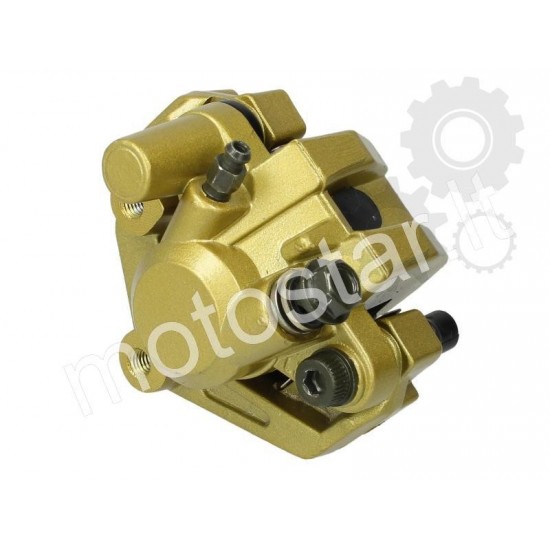 Rear brake support of the...
