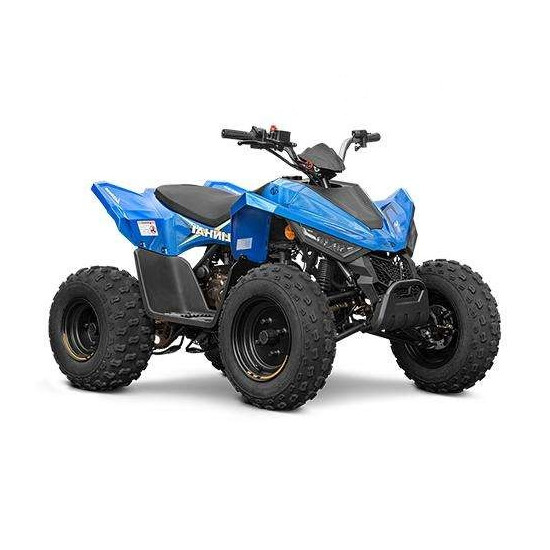 LINHAI ATV 110 4X2 EFI...
