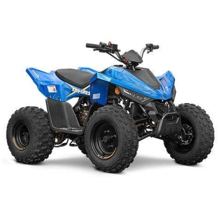 LINHAI ATV 110 4X2 EFI VAIKIŠKAS KETURRATIS MĖLYNAS