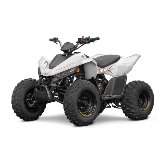 LINHAI ATV 110 4X2 EFI...
