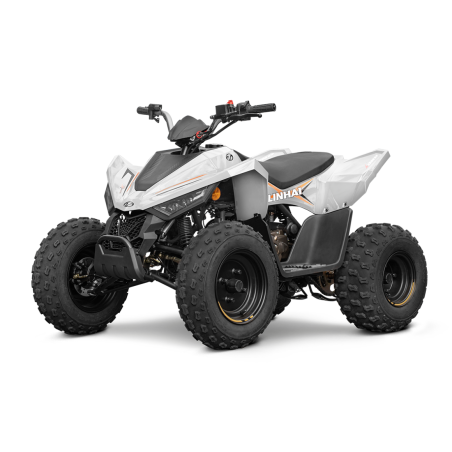 copy of LINHAI ATV 110 4X2 EFI VAIKIŠKAS KETURRATIS MĖLYNA