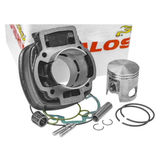 copy of Malossi Sport 70cc...