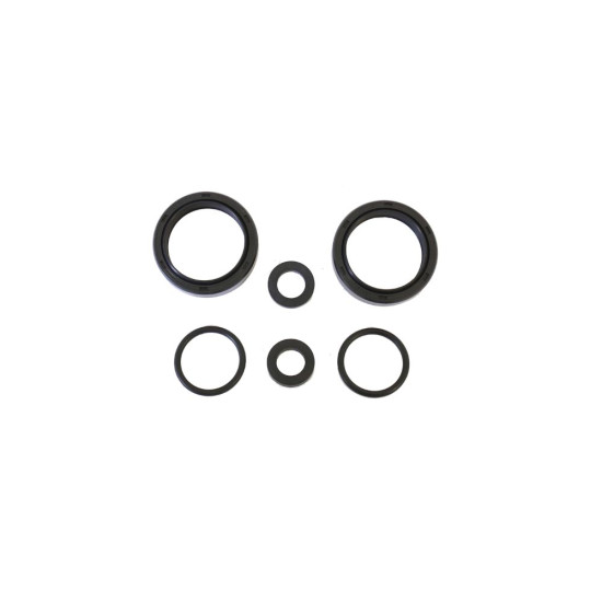 ATHENA front shock absorber oil seals (2pcs) 41.3X54X13/14 (ARI089)