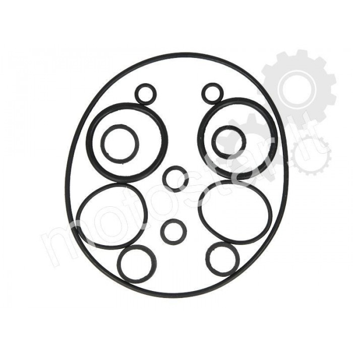 O-ring of the ATV 50-110 engine