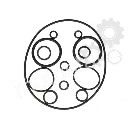 O-ring of the ATV 50-110 engine