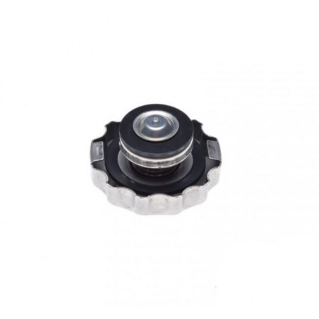 Radiator cap