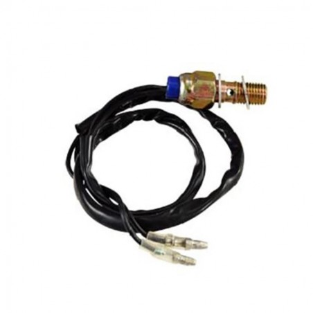 Brake caliper with 10x1.25 thread
