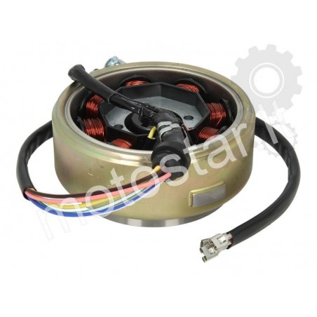 ATV Bashan 200 degimas