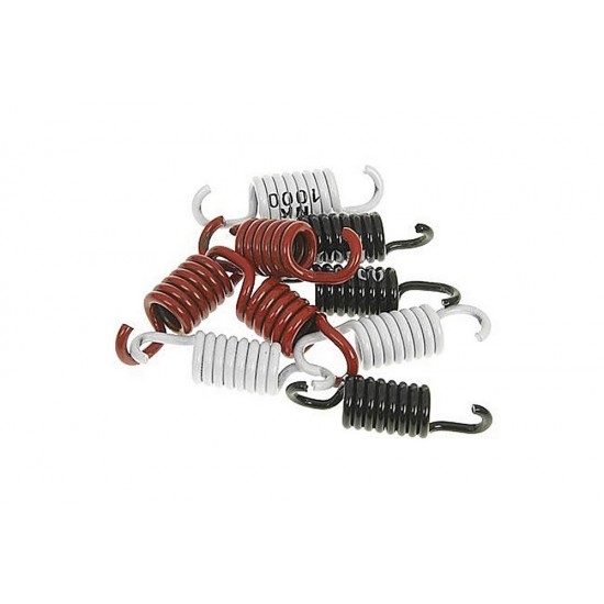 Naraku 3G clutch spring set