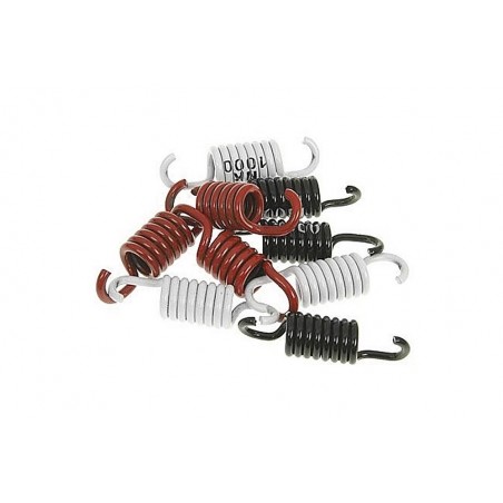 Naraku 3G clutch spring set