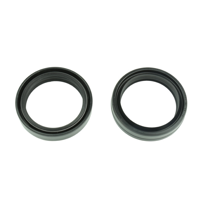 ATHENA front shock absorber oil seals (2pcs.) 38X48X10 (ARI094)