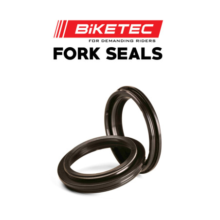 BIKETEC priekinių amortizatorių tepalo riebokšliai DCY 45X58X11 (ARI120)