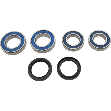 ALL BALLS galinio rato guoliai su riebokšliais DUCATI Monster 821 '15-'20, Monster 821 '15-'17, Multistrada 950 '18-'20, Multist