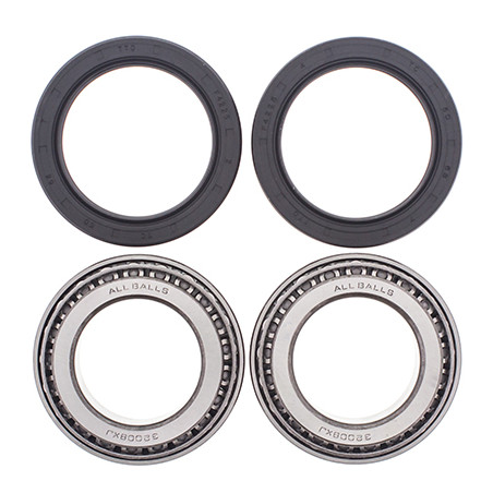 ALL BALLS rear wheel bearings with seals CAN-AM DS.650 '00-'07
