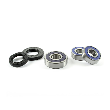 PROX galinio rato guolis HONDA CB 600F HORNET '07-'12 (25-1257)