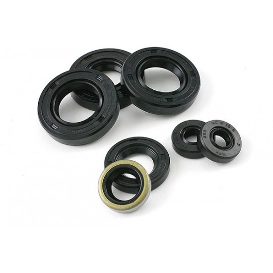 Derbi (from 2006) engine oil seal kit