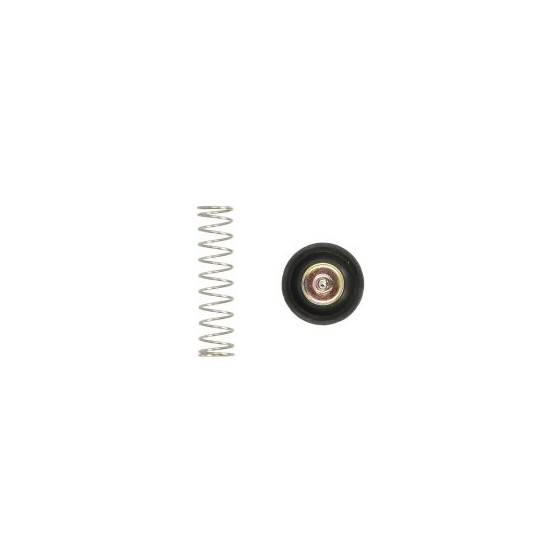TOURMAX Air cut repair kit HONDA VT 750C/CA/C2 SHADOW '04-09, VTX 1300C/R/T '08-09 (16048-MEG-003) (MAD