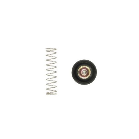 TOURMAX Air cut repair kit HONDA VT 750C/CA/C2 SHADOW '04-09, VTX 1300C/R/T '08-09 (16048-MEG-003) (MAD