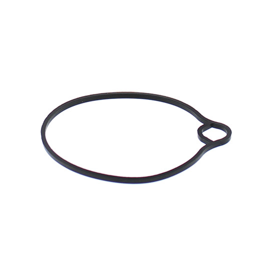 ALL BALLS carburetor float cover gasket ARCTIC CAT 50 DVX 06-08, 90 DVX 06-18, HONDA CH80 85-07, EZ90 91-96, NH80 83-