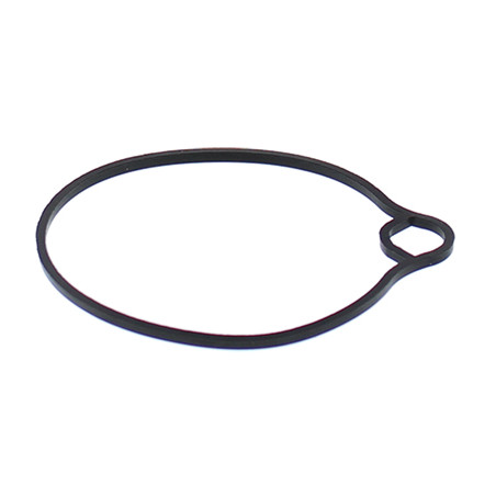 ALL BALLS carburetor float cover gasket ARCTIC CAT 50 DVX 06-08, 90 DVX 06-18, HONDA CH80 85-07, EZ90 91-96, NH80 83-