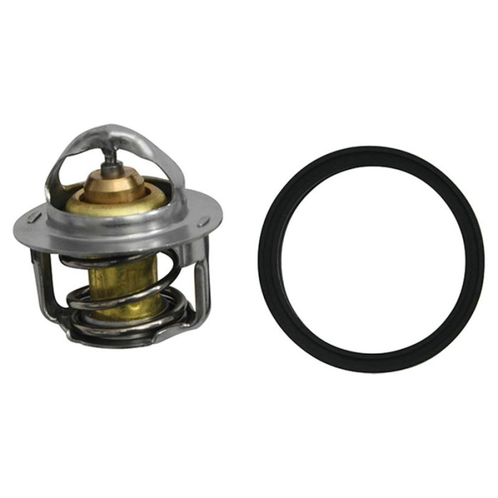 ALL BALLS termostatas POLARIS ACE 500 '17-'19, ACE 570 '15-'19, ACE 570 EU '15-'18, ACE 570 HD '15-'19, Ranger 1000 EPS '20-'21,