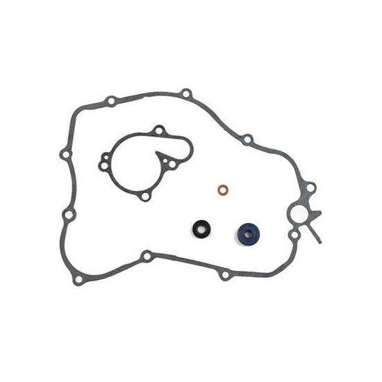 PSYCHIC aušinimo pompos...