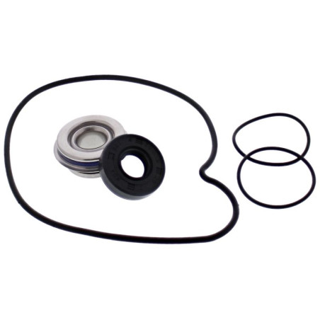 HOT RODS 2022/01 cooling pump repair kit POLARIS RZR 900/1000 '11-'15
