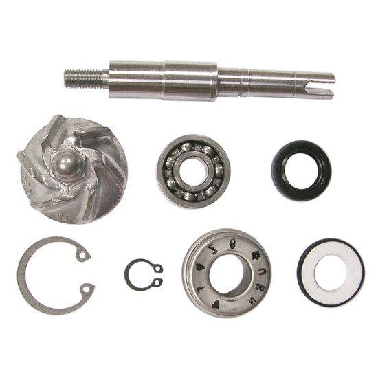 VICMA cooling pump repair kit HONDA FES 125 PANTHEON, SES 125 DYLAN, SH 125 SCOOPY (8663)