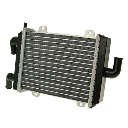 Peugeot Speedfight 1, 2 cooling radiator