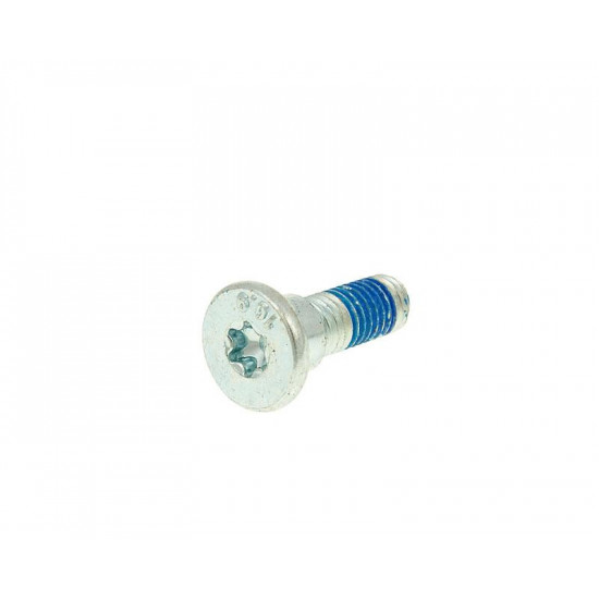 Brake disc bolt M8 for disc with 10mm hole (1 pc.)