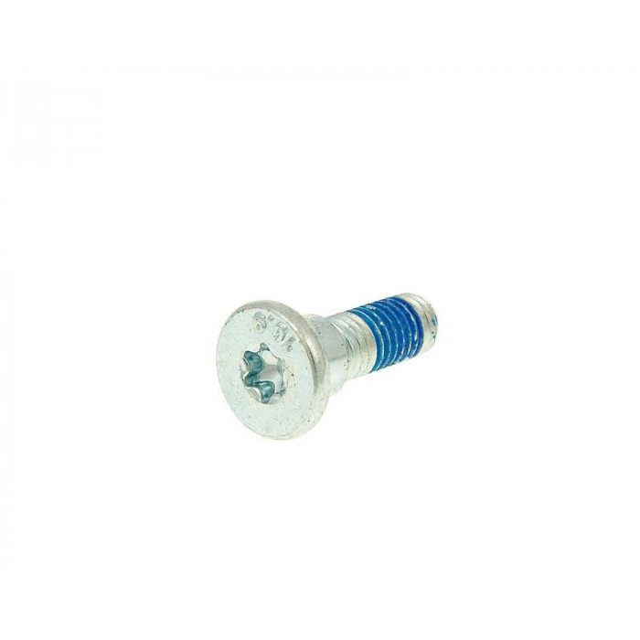 Brake disc bolt M8 for disc with 10mm hole (1 pc.)