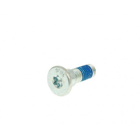 Brake disc bolt M8 for disc with 10mm hole (1 pc.)