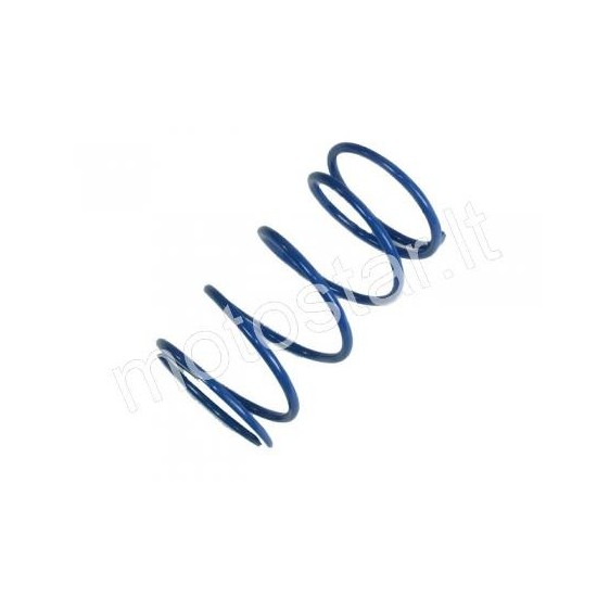 22kg Minarelli ATHENA blue main spring