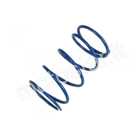 22kg Minarelli ATHENA blue main spring