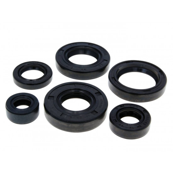 Minarelli AM6 engine oil seal kit