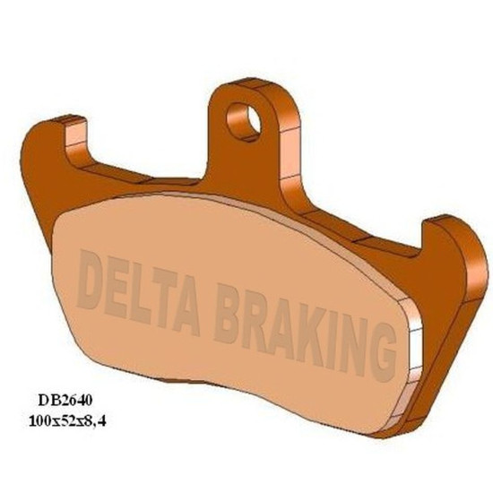 DELTA BRAKING stabdžių...