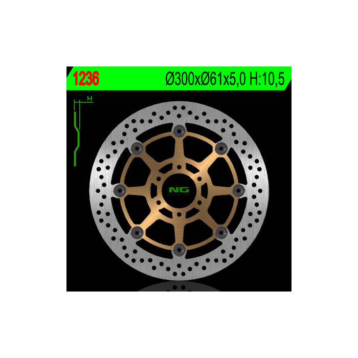 NG brake disc front CAGIVA 650 / 1000 RAPTOR (300x61x5) (6X8,5mm)