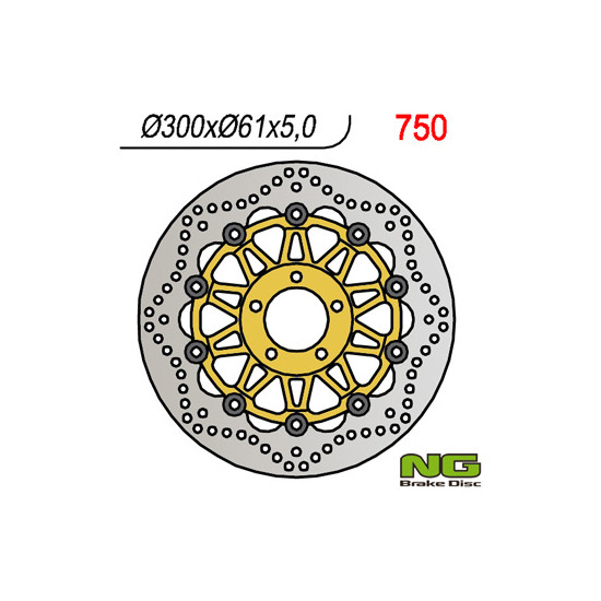 NG brake disc front KAWASAKI ZX6R '95-'02, Z750 '04- (300x61x5)