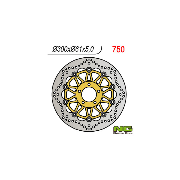 NG brake disc front KAWASAKI ZX6R '95-'02, Z750 '04- (300x61x5)